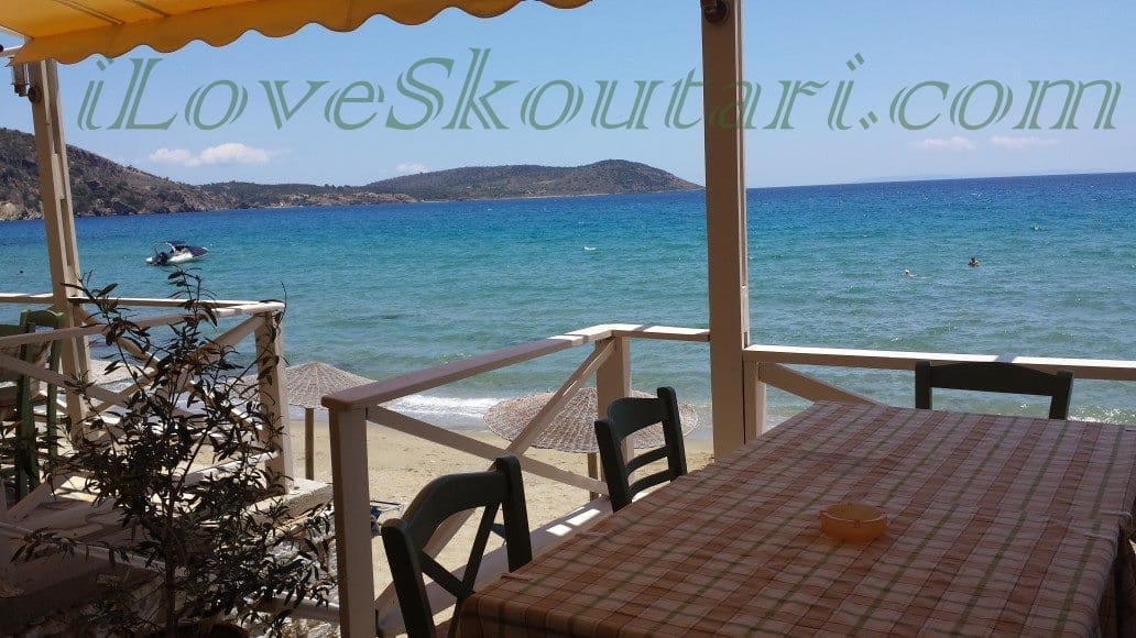 skoutari.com Domaine papakonstantis